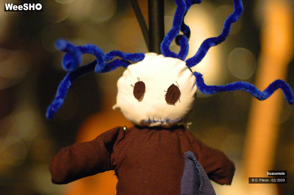 35/46 photos du spectacle Guacamole