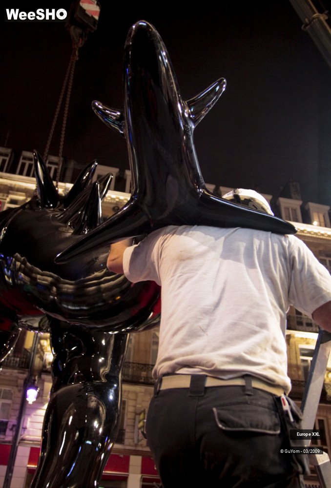 9/49 photos du spectacle Anges et Démons (Montage)