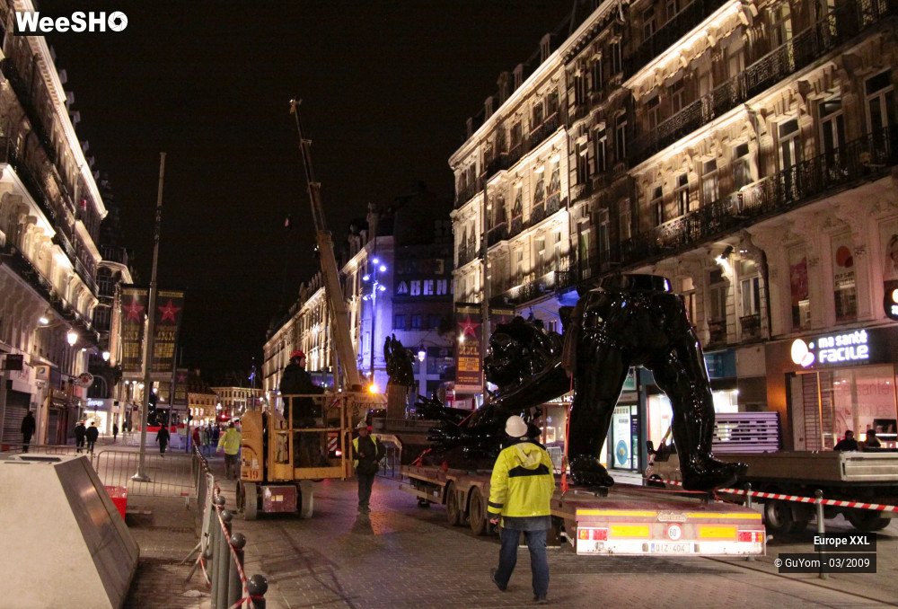 36/49 photos du spectacle Anges et Démons (Montage)