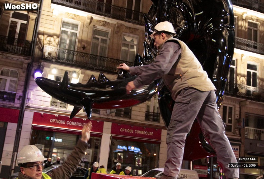37/49 photos du spectacle Anges et Démons (Montage)