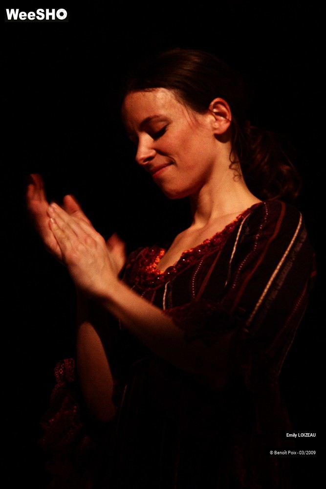 17/33 photos du spectacle Emily LOIZEAU