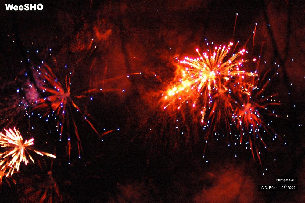 21/48 photos du spectacle Europe XXL Parade 5