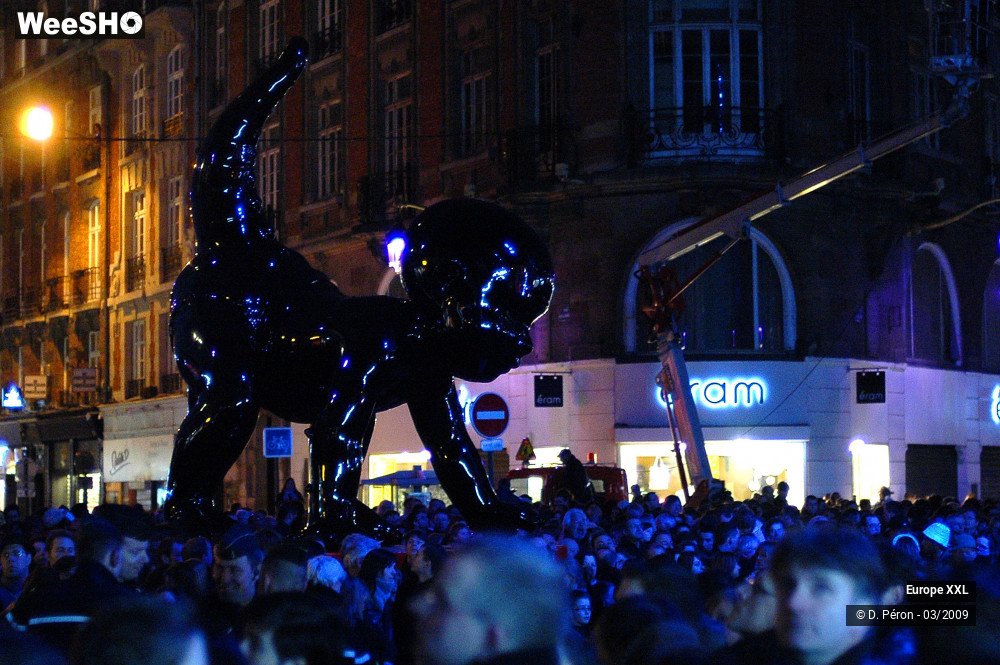 34/48 photos du spectacle Europe XXL Parade 5