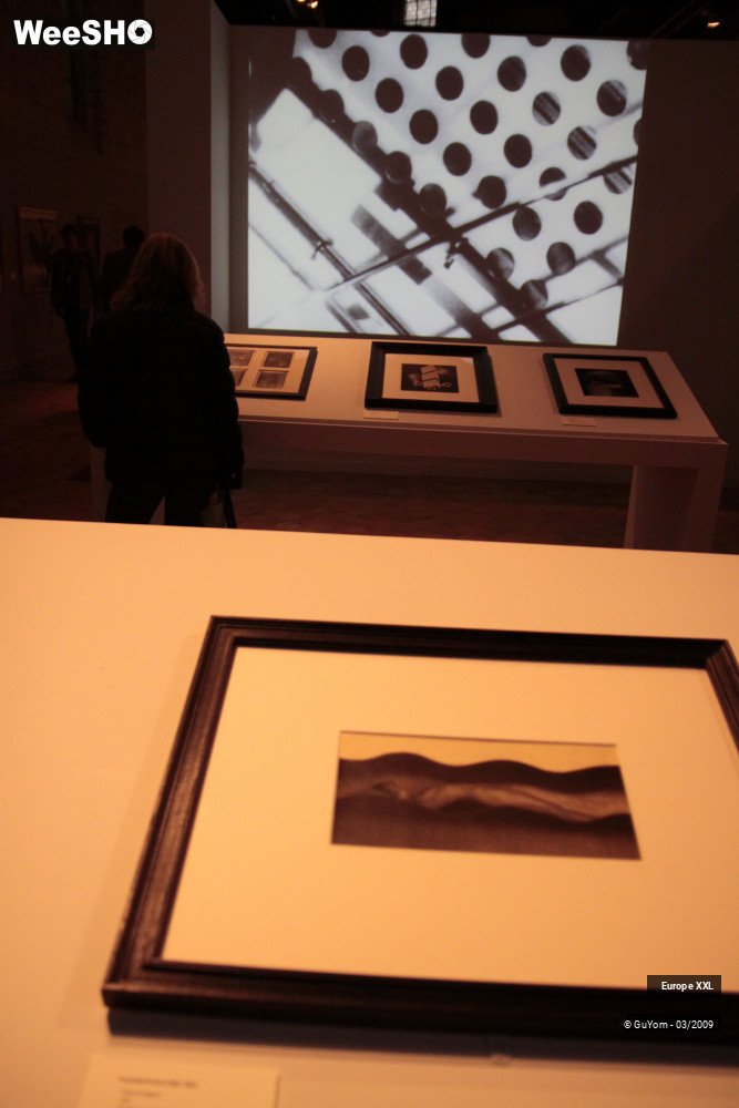 8/36 photos du spectacle XXL Expo Hospice Comtesse
