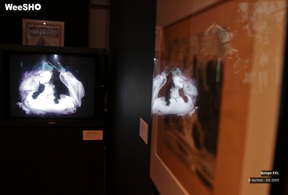 11/36 photos du spectacle XXL Expo Hospice Comtesse