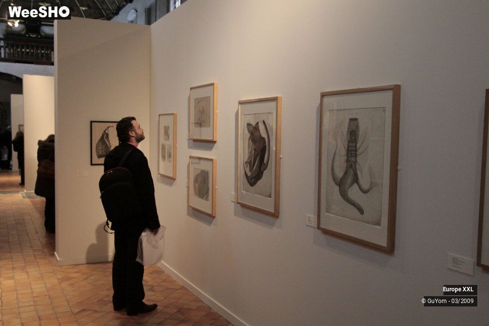 14/36 photos du spectacle XXL Expo Hospice Comtesse