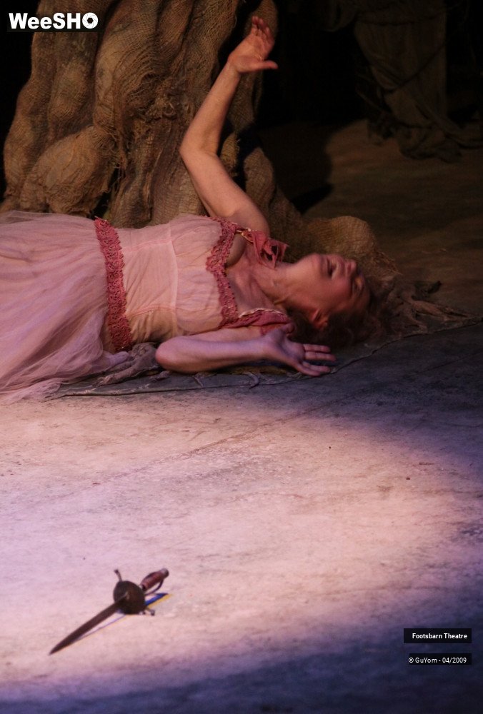 5/51 photos du spectacle Le Songe d'une Nuit d'Eté