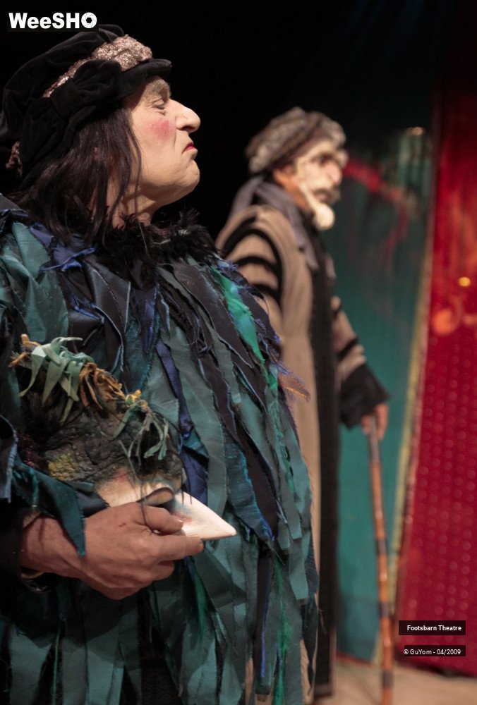 6/51 photos du spectacle Le Songe d'une Nuit d'Eté