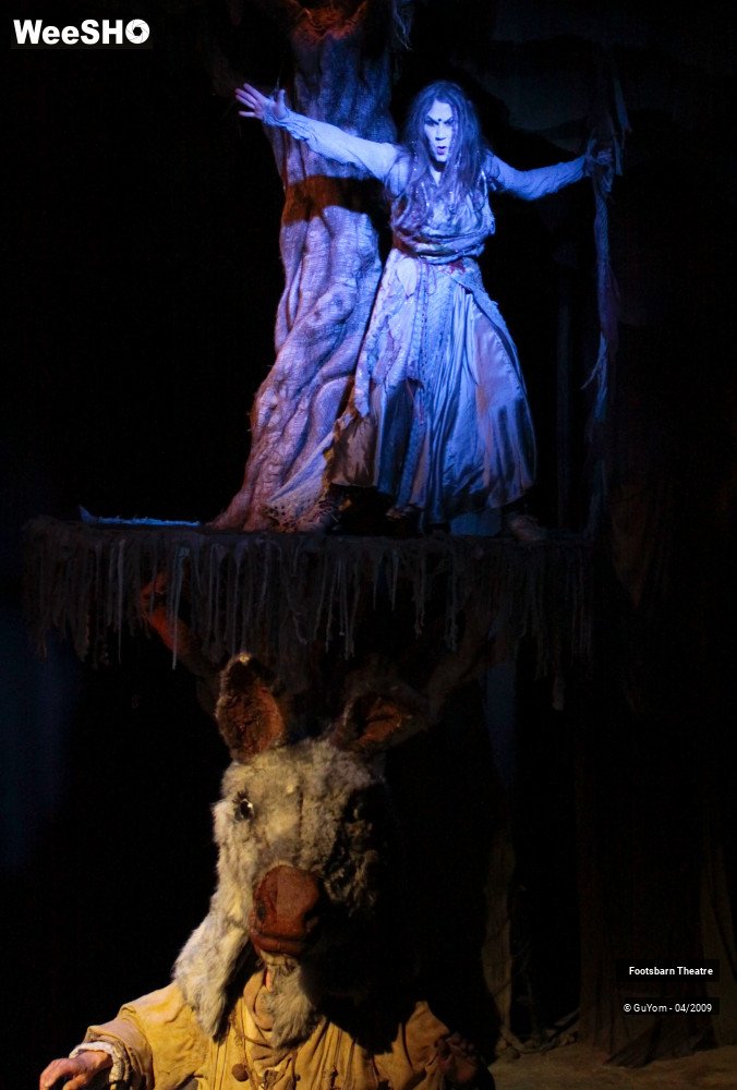 9/51 photos du spectacle Le Songe d'une Nuit d'Eté