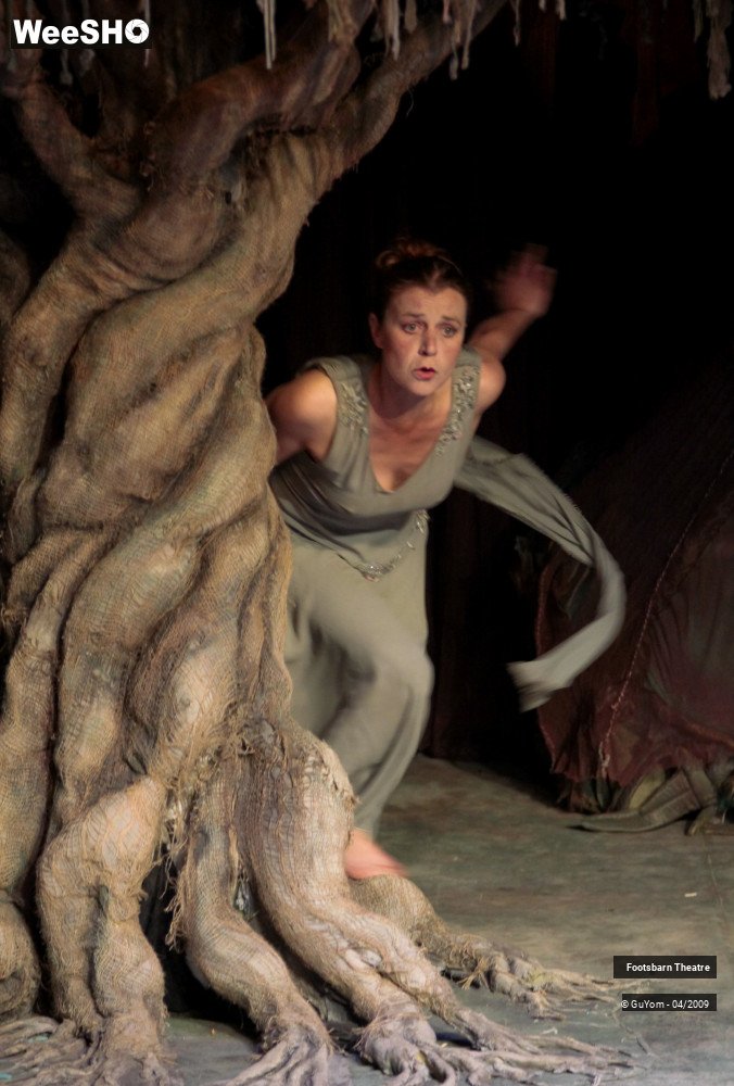 11/51 photos du spectacle Le Songe d'une Nuit d'Eté