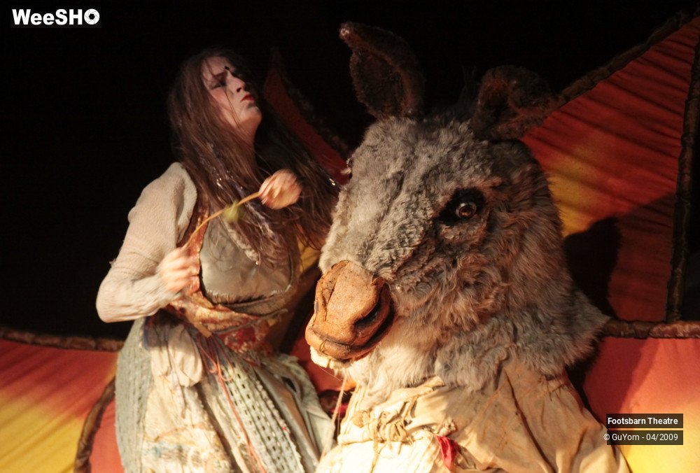 13/51 photos du spectacle Le Songe d'une Nuit d'Eté