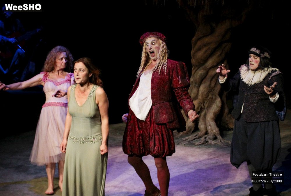 15/51 photos du spectacle Le Songe d'une Nuit d'Eté