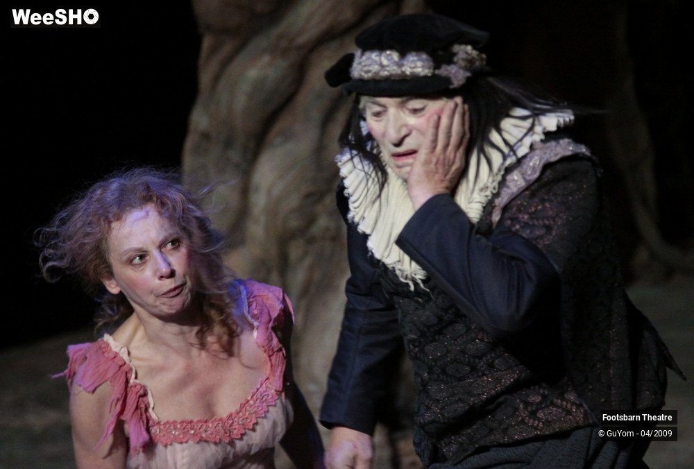 19/51 photos du spectacle Le Songe d'une Nuit d'Eté