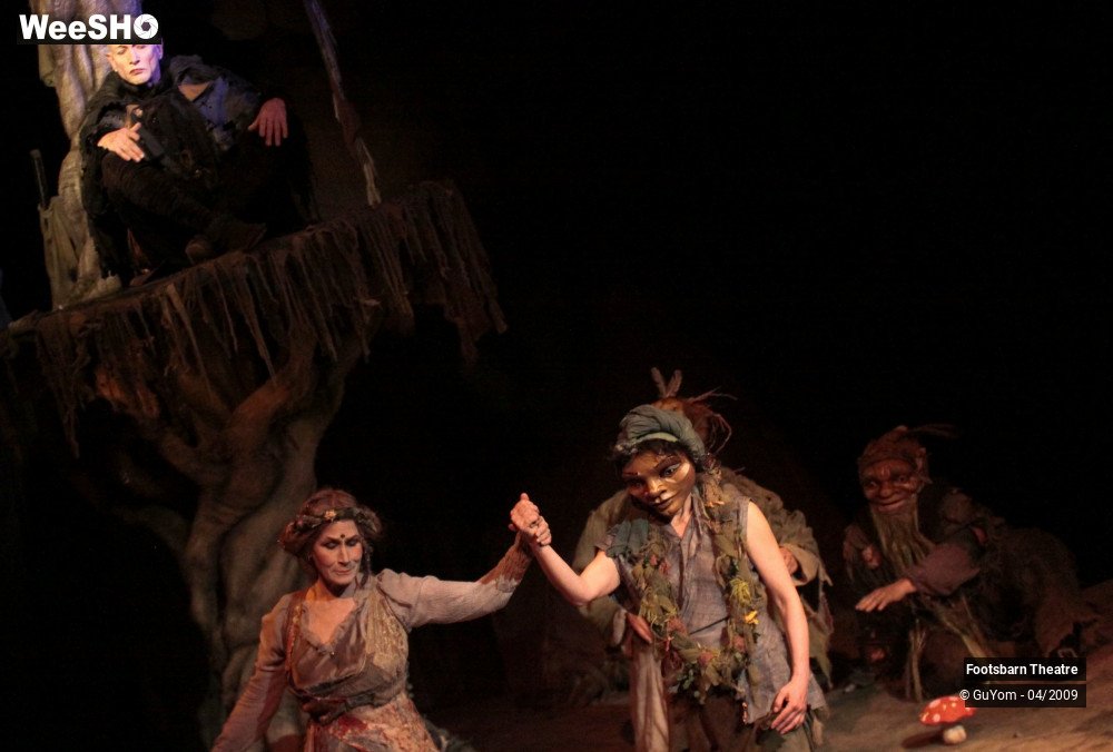 24/51 photos du spectacle Le Songe d'une Nuit d'Eté