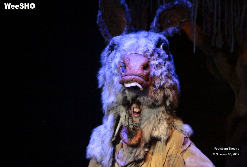 50/51 photos du spectacle Le Songe d'une Nuit d'Eté