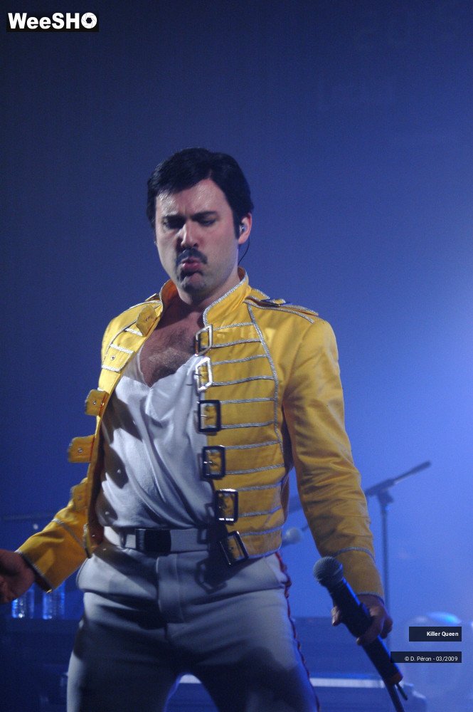 8/42 photos du spectacle Killer Queen