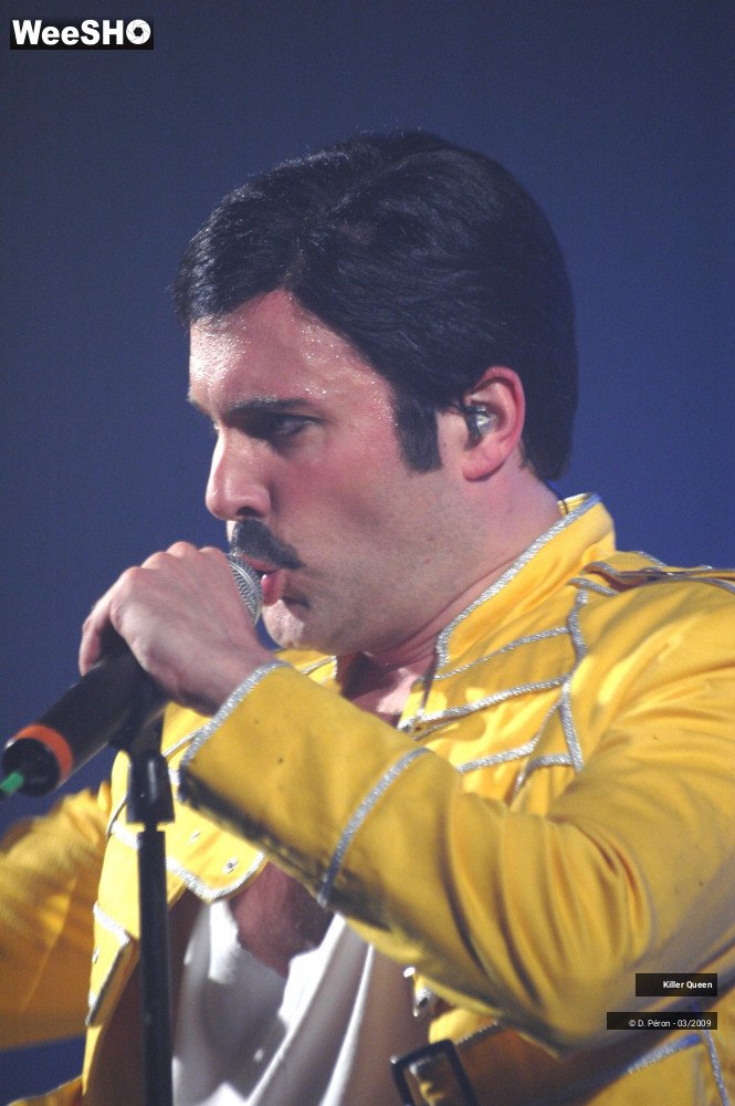 12/42 photos du spectacle Killer Queen