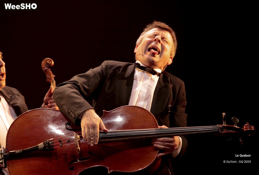 11/50 photos du spectacle Le Quatuor