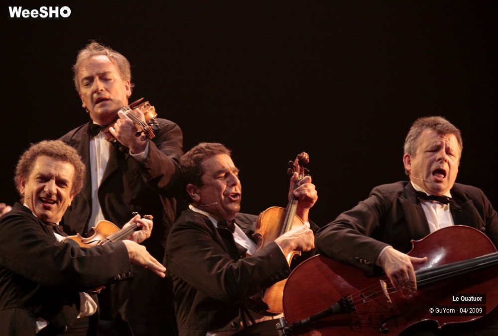 39/50 photos du spectacle Le Quatuor