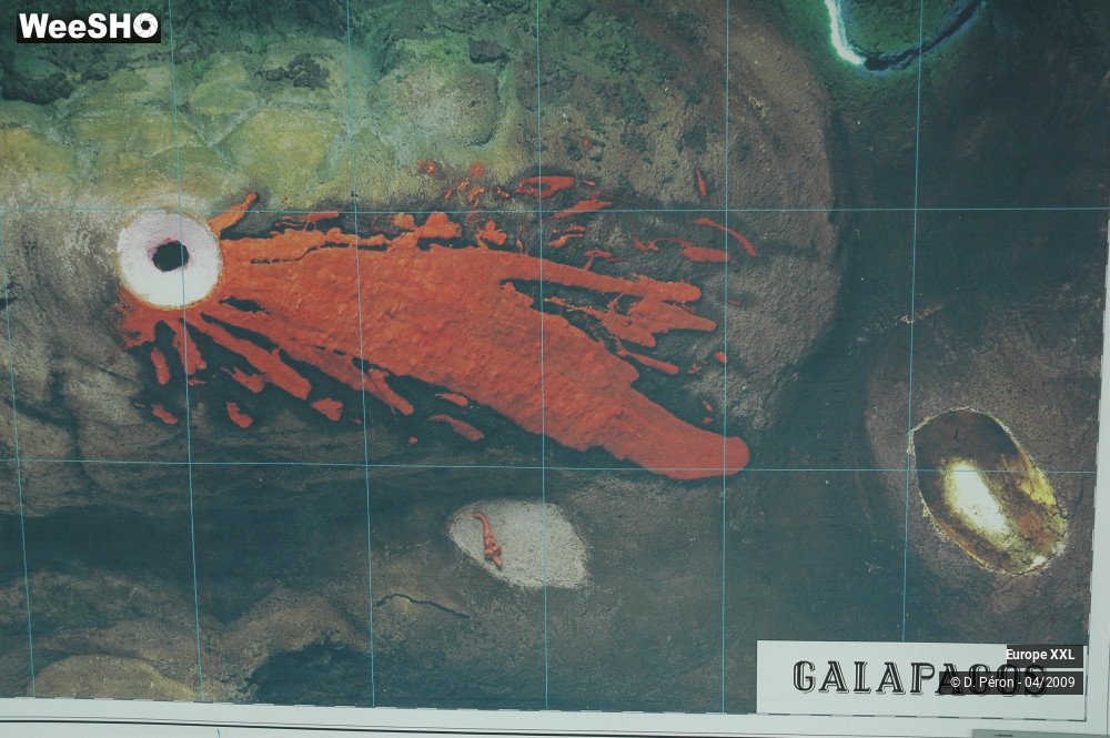 7/21 photos du spectacle XXL Expo Galapagos