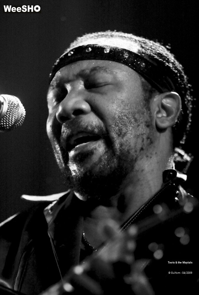 8/50 photos du spectacle Toots & the Maytals