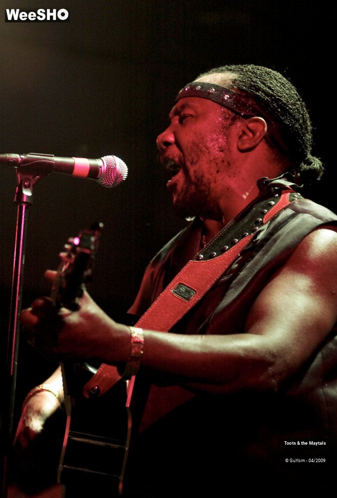 13/50 photos du spectacle Toots & the Maytals