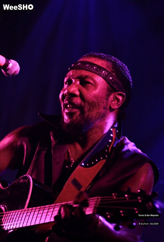 14/50 photos du spectacle Toots & the Maytals