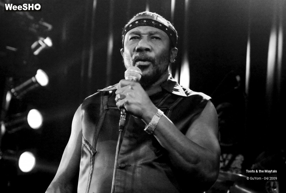 22/50 photos du spectacle Toots & the Maytals