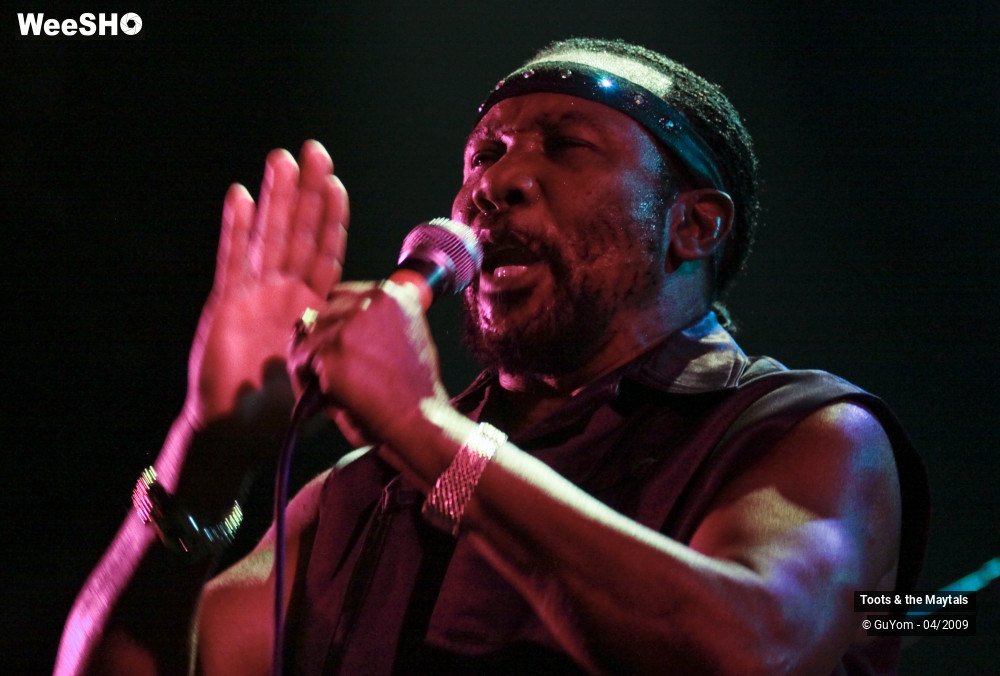 23/50 photos du spectacle Toots & the Maytals
