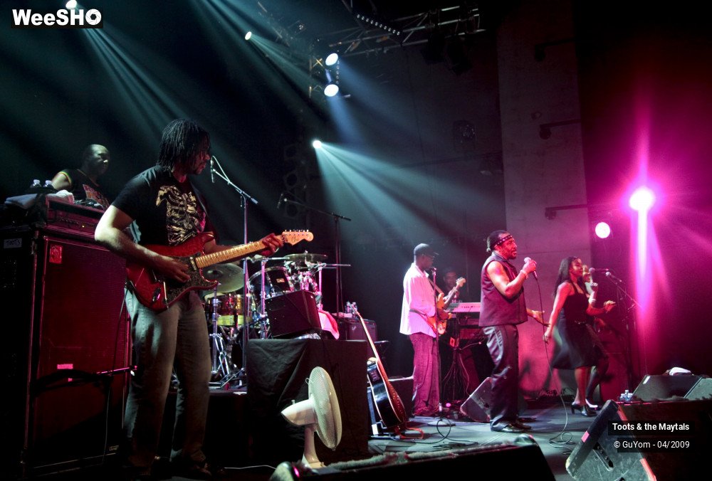 30/50 photos du spectacle Toots & the Maytals