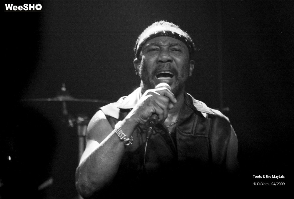 36/50 photos du spectacle Toots & the Maytals