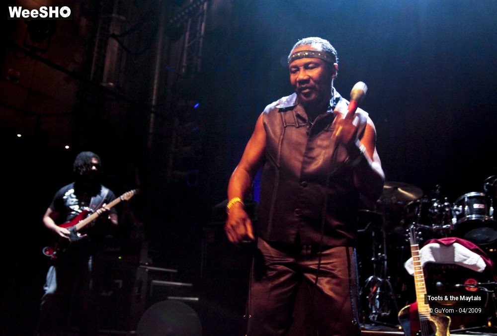 37/50 photos du spectacle Toots & the Maytals