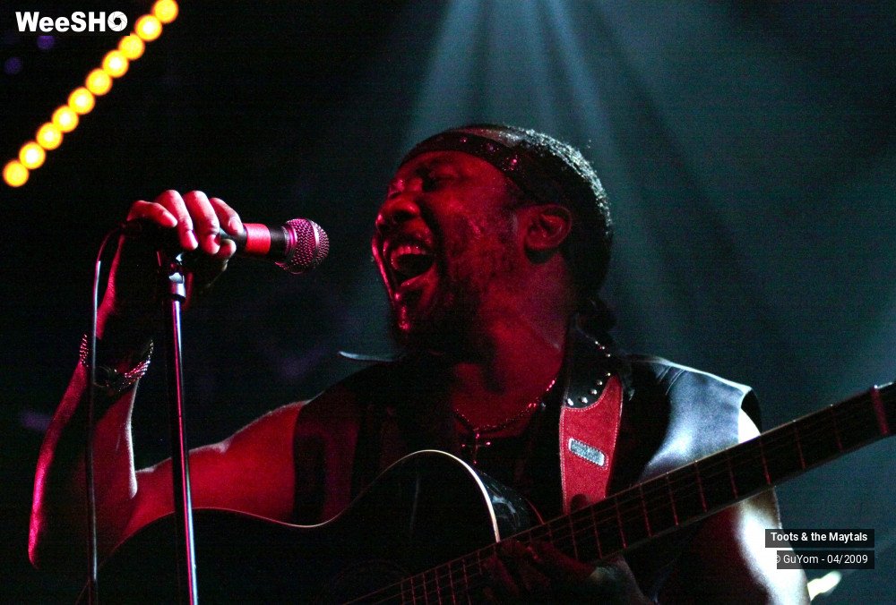 40/50 photos du spectacle Toots & the Maytals