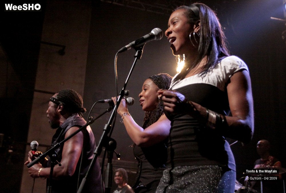 45/50 photos du spectacle Toots & the Maytals