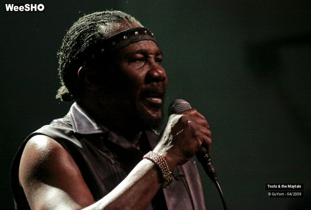 47/50 photos du spectacle Toots & the Maytals