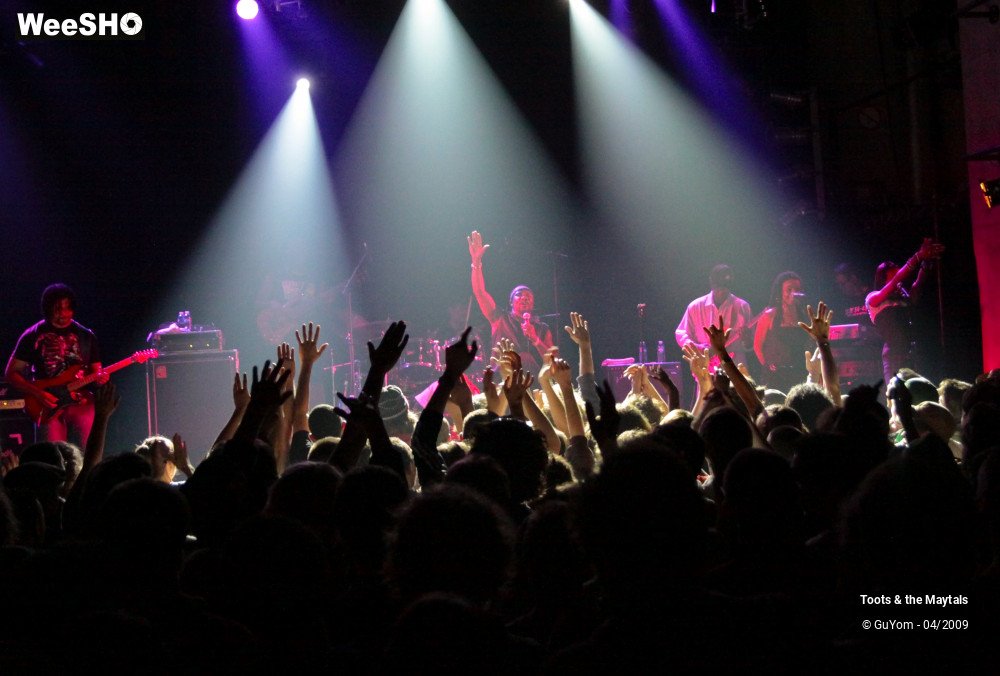 49/50 photos du spectacle Toots & the Maytals