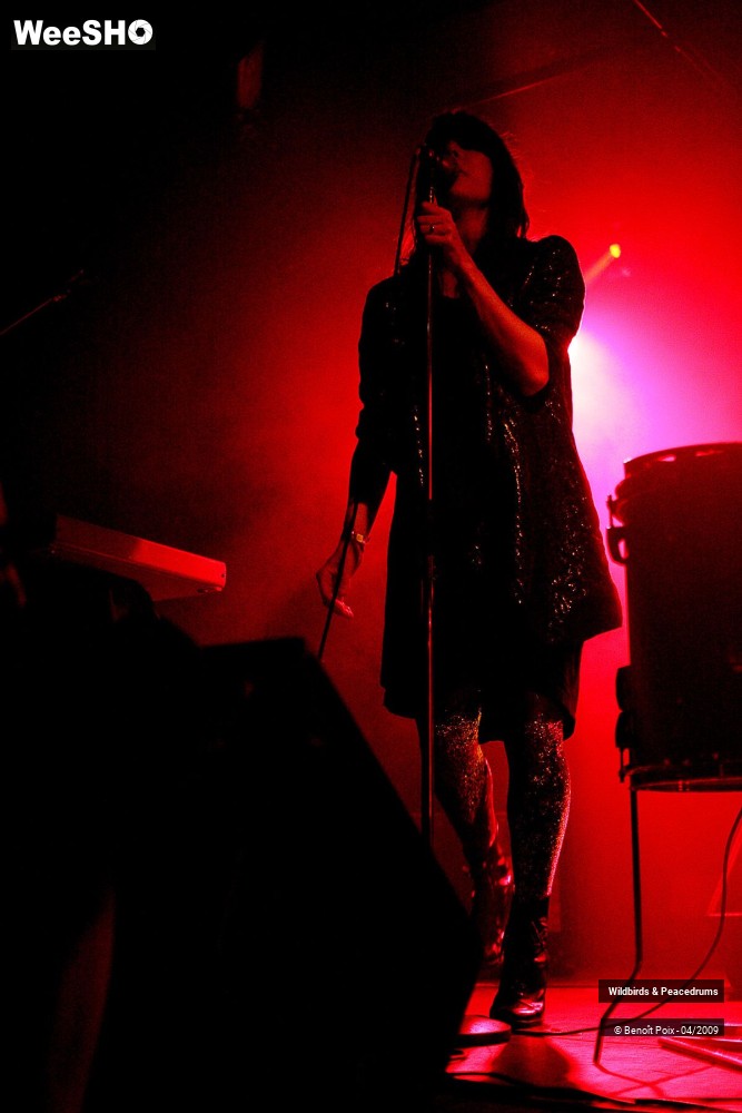1/17 photos du spectacle Wildbirds & Peacedrums