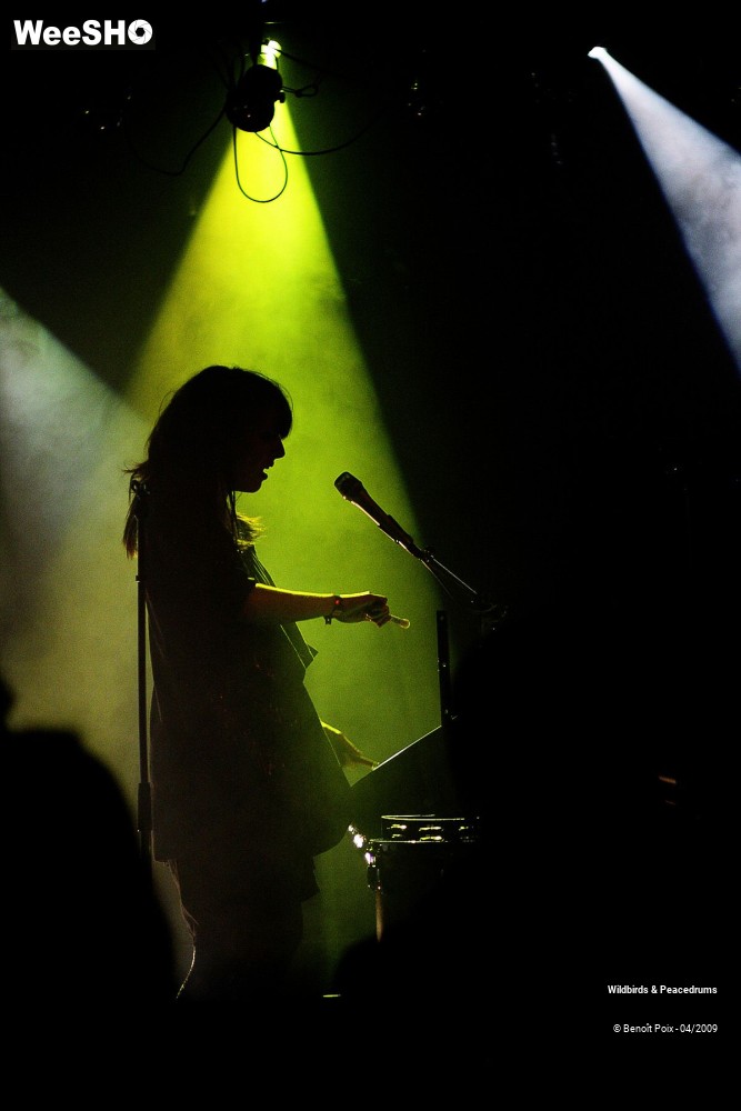 2/17 photos du spectacle Wildbirds & Peacedrums