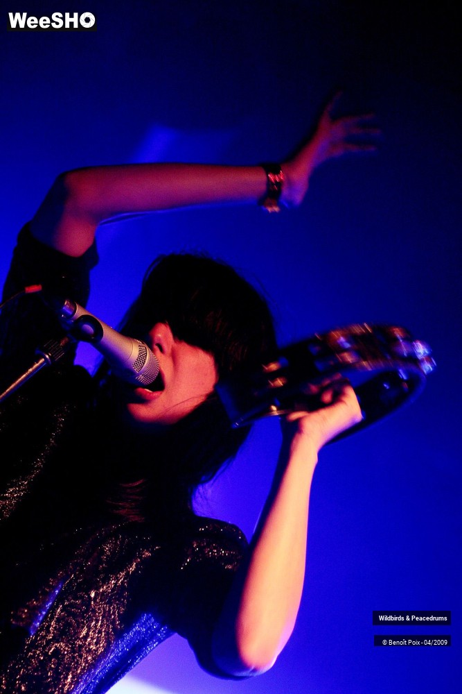 3/17 photos du spectacle Wildbirds & Peacedrums
