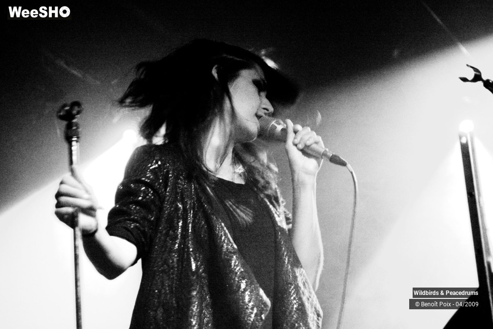 5/17 photos du spectacle Wildbirds & Peacedrums