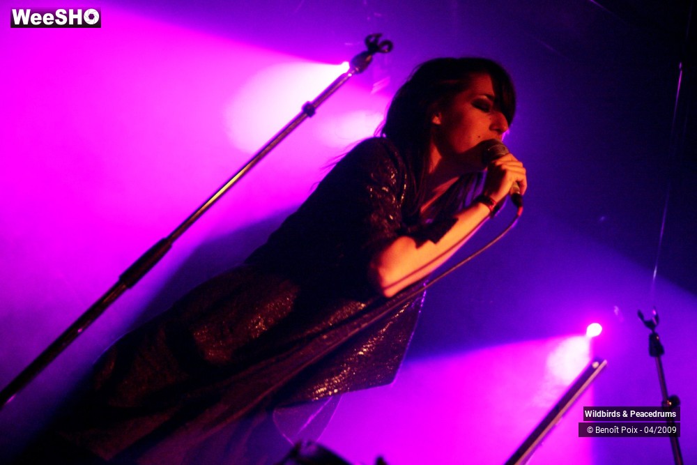 7/17 photos du spectacle Wildbirds & Peacedrums