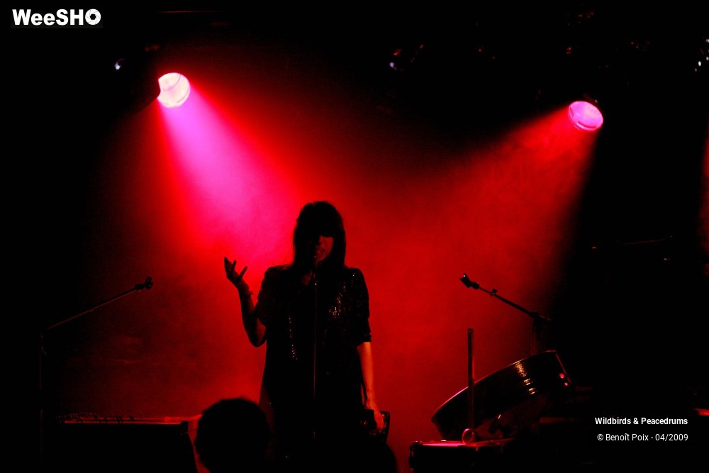 9/17 photos du spectacle Wildbirds & Peacedrums