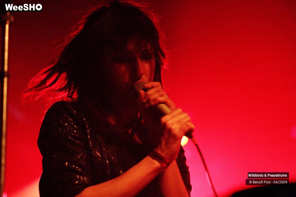 10/17 photos du spectacle Wildbirds & Peacedrums
