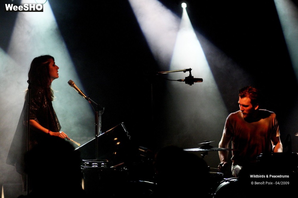 11/17 photos du spectacle Wildbirds & Peacedrums