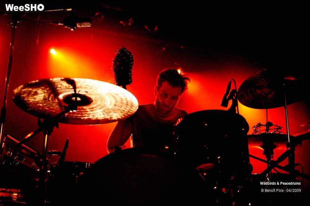 13/17 photos du spectacle Wildbirds & Peacedrums