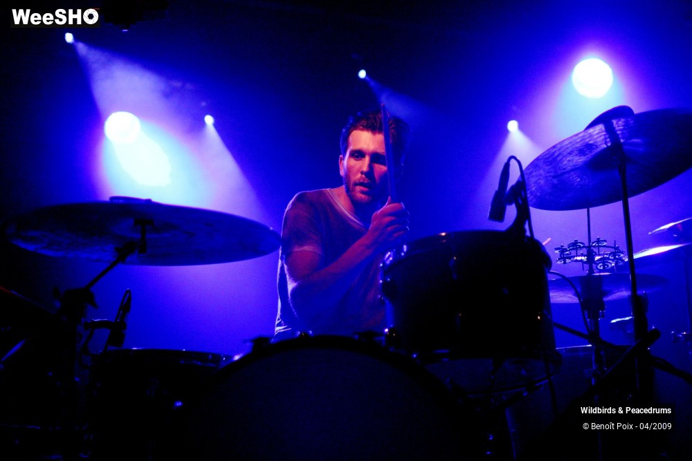 16/17 photos du spectacle Wildbirds & Peacedrums