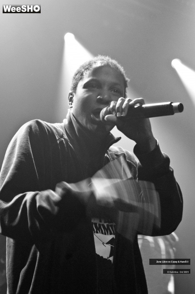 10/44 photos du spectacle Zone Libre vs Casey & Hamé