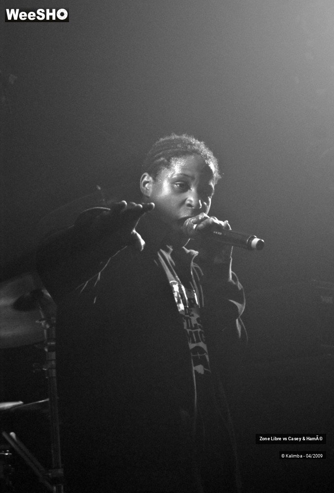 15/44 photos du spectacle Zone Libre vs Casey & Hamé
