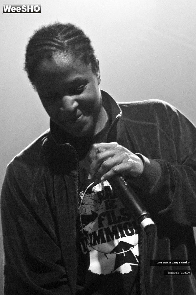 16/44 photos du spectacle Zone Libre vs Casey & Hamé