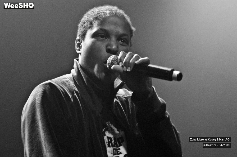 35/44 photos du spectacle Zone Libre vs Casey & Hamé